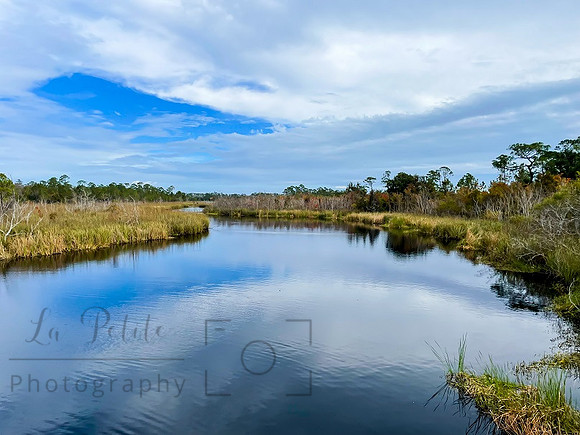 Marsh