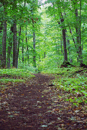 Hidden trail