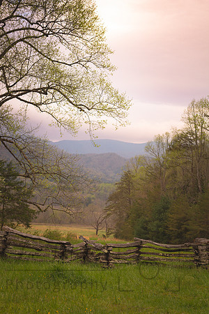 Smoky Mountain mid day