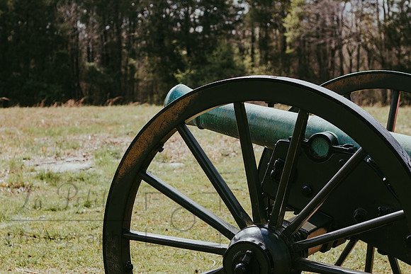 Cannon