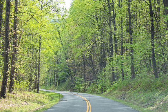 Mountain road