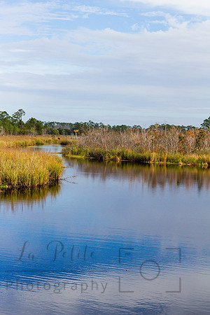 Marsh2