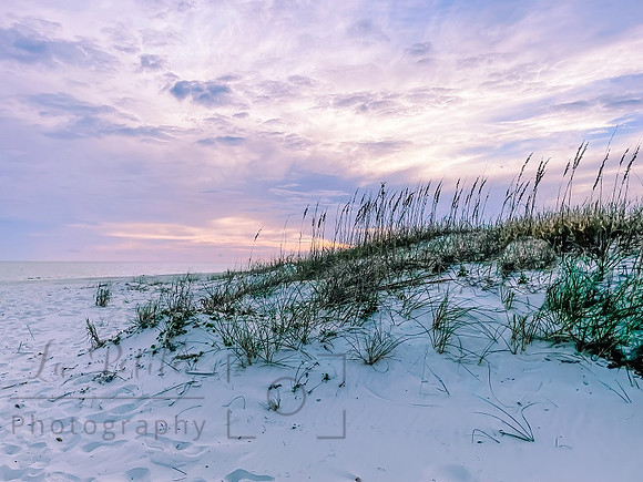 Gulf Shores3