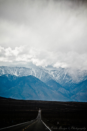 In the Distance