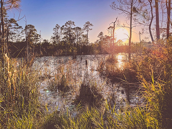 Sunset Bayou