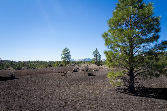 Sunset Crater