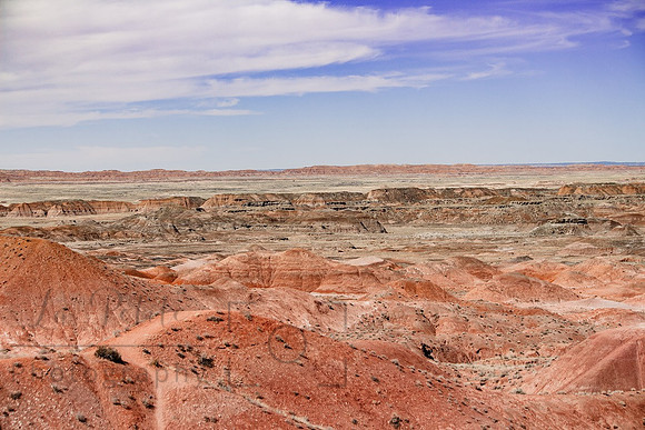 Painted Desert2