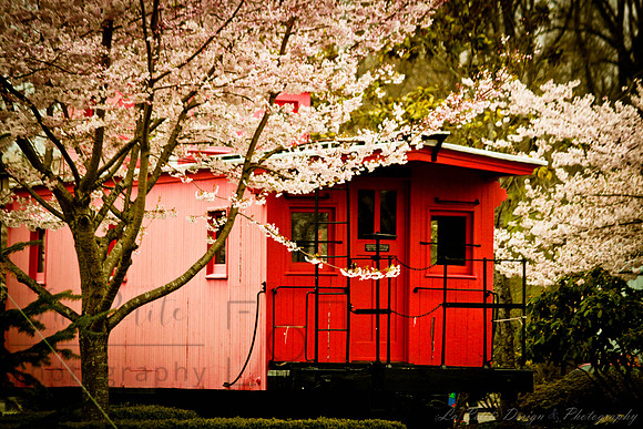 Caboose